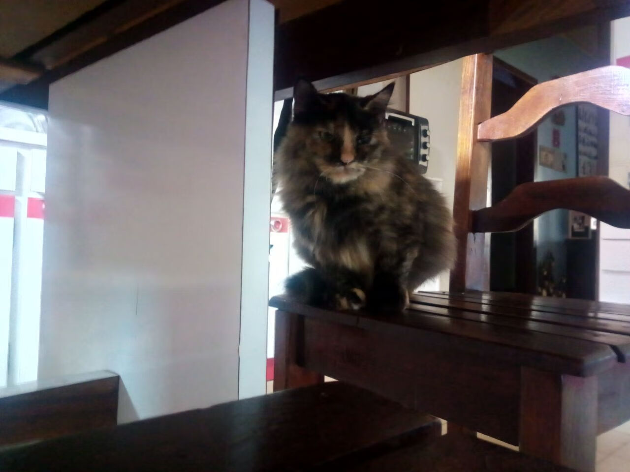 平行宇宙大战！杜兰特超神50分，76人跨联赛碾压广东队？