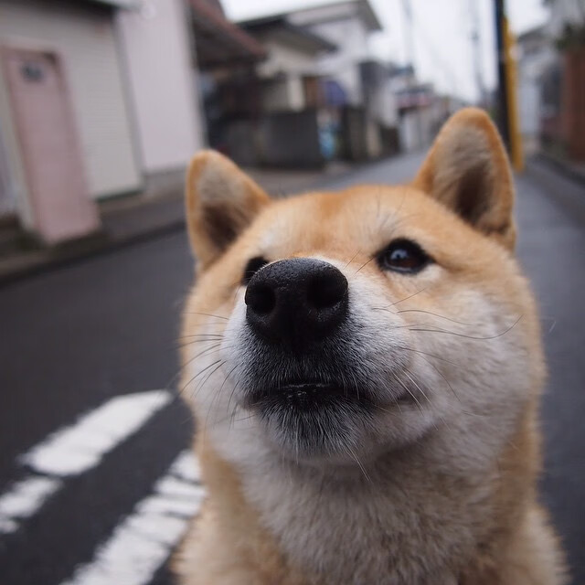 马刺胜雷霆，米切尔的爆发，映照出最残酷的篮球法则